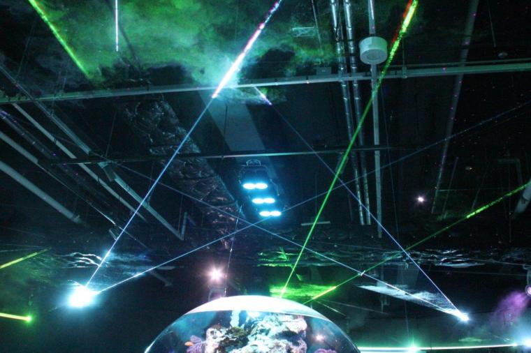 神戸で1日デート・観光なら外せない！映えるアートがたくさん「AQUARIUM×ART átoa」の楽しみ方