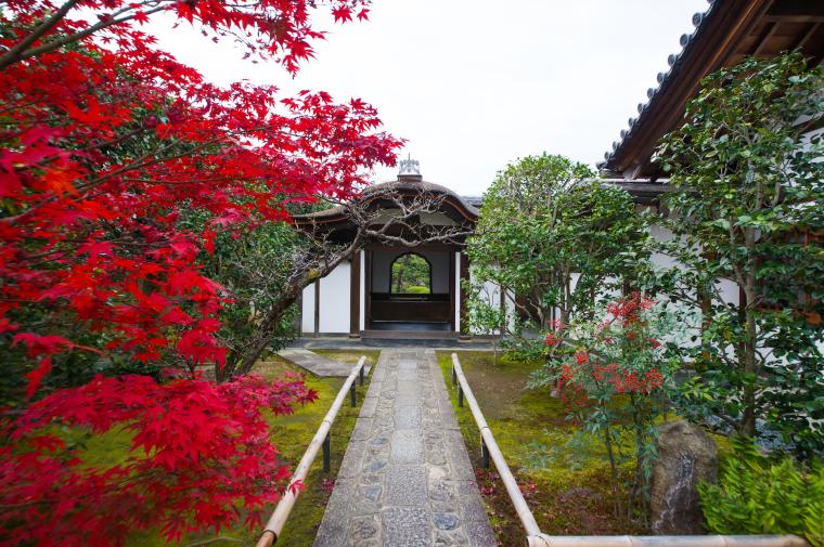 大徳寺・唐門