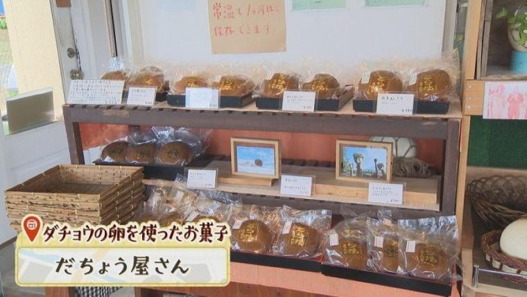 子どももビックリ「なんの動物？」「地球上で一番大きい卵」北海道ニセコ町で見つけた牧 場の取り組みに注目