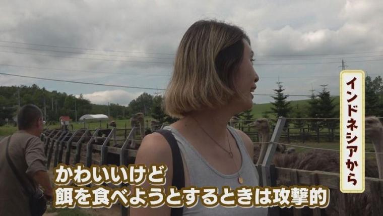 子どももビックリ「なんの動物？」「地球上で一番大きい卵」北海道ニセコ町で見つけた牧 場の取り組みに注目