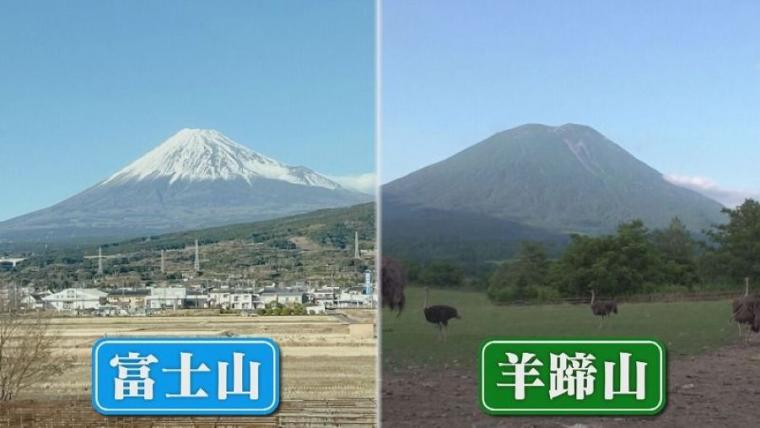子どももビックリ「なんの動物？」「地球上で一番大きい卵」北海道ニセコ町で見つけた牧 場の取り組みに注目