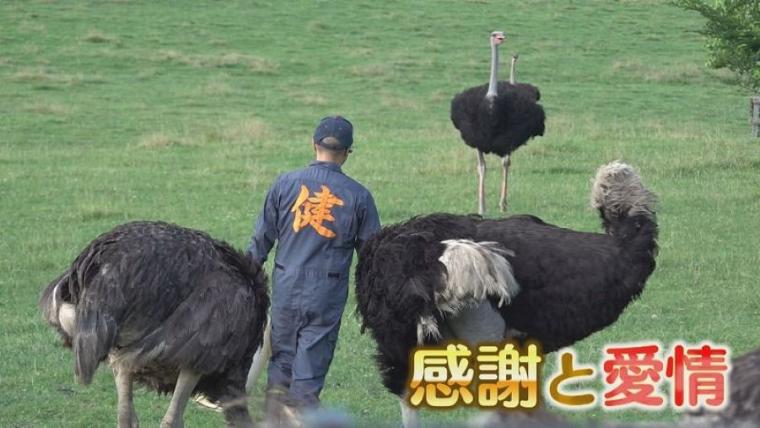子どももビックリ「なんの動物？」「地球上で一番大きい卵」北海道ニセコ町で見つけた牧 場の取り組みに注目