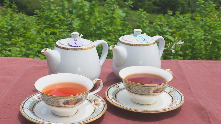 【岡山】山腹にある紅茶農園が営む紅茶専門店。絶景を眺めながらアフタヌーンティーで贅沢なひと時を