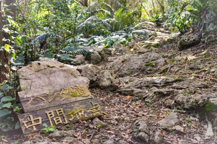 【沖縄】ただの観光地ではない？！世界遺産「今帰仁城跡」の楽しみ方
