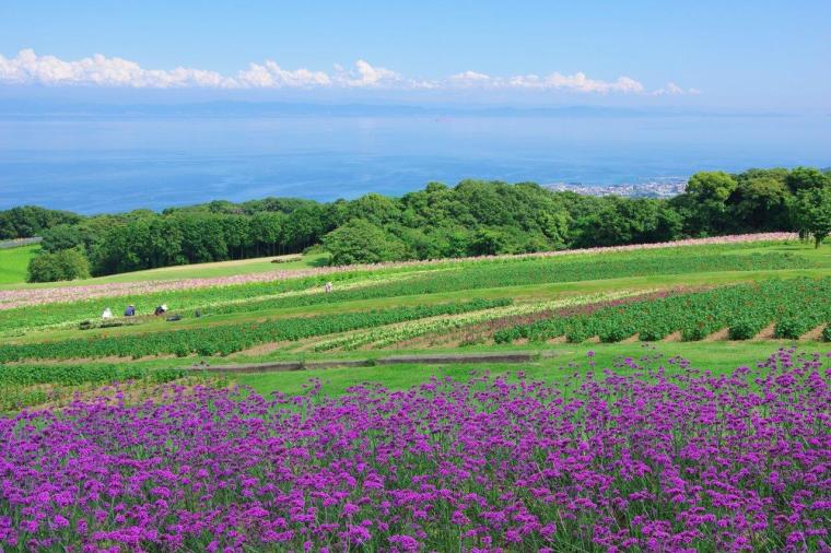 あわじ花さじき