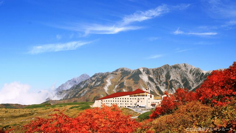 【立山黒部アルペンルート】紅葉見ごろガイドーー今秋「立山トンネルトロリーバス」「遊覧船ガルベ」いよいよ見納め！北アルプス高低差2000mの旅
