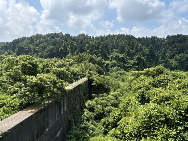 【鳥取】世界一に選ばれた大山 G ビールのブルワリー見学。お土産付きでとてもお得！
