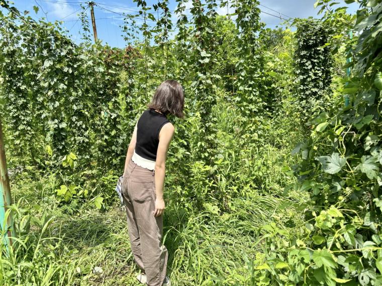 【鳥取】世界一に選ばれた大山 G ビールのブルワリー見学。お土産付きでとてもお得！