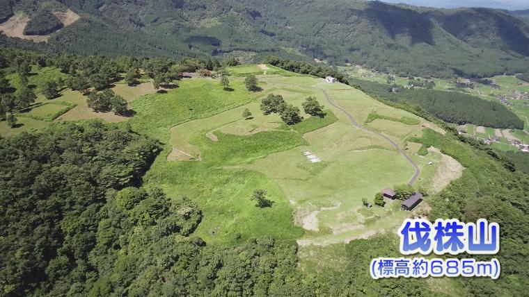 いざ大空へ「鳥の気持ちに」パラグライダーで味わう絶景【大分】