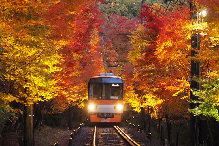 叡山電車 もみじのトンネル ライトアップ