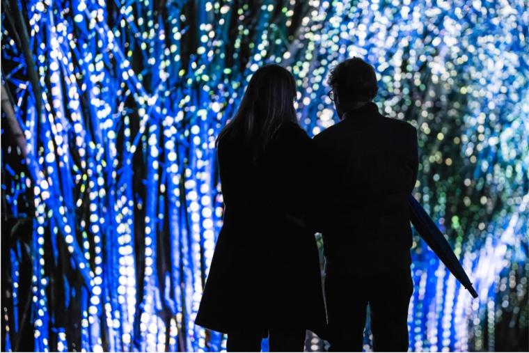京都府立植物園「LIGHT CYCLES KYOTO」(IN)VISIBLE