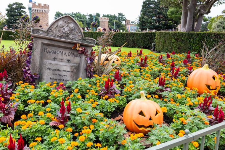 tdr-halloween-guide-2024