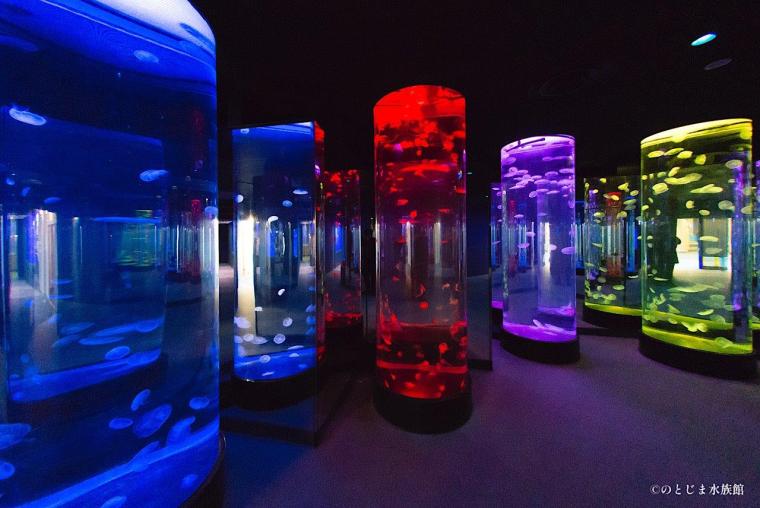 ジンベエザメにまた会える！【のとじま水族館】地震から 9 か月で待望の展示再開