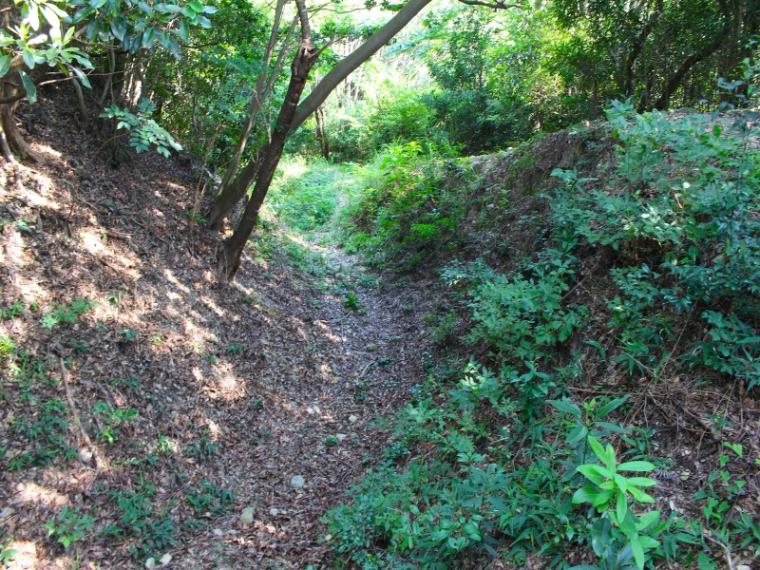 【掛川・高天神城跡】ガイドおすすめコースで“難攻不落の名城”を攻略！