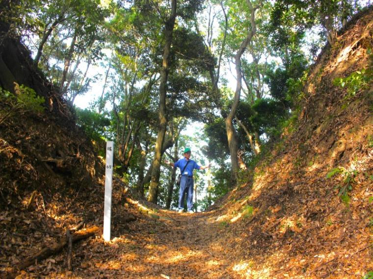 【掛川・高天神城跡】ガイドおすすめコースで“難攻不落の名城”を攻略！