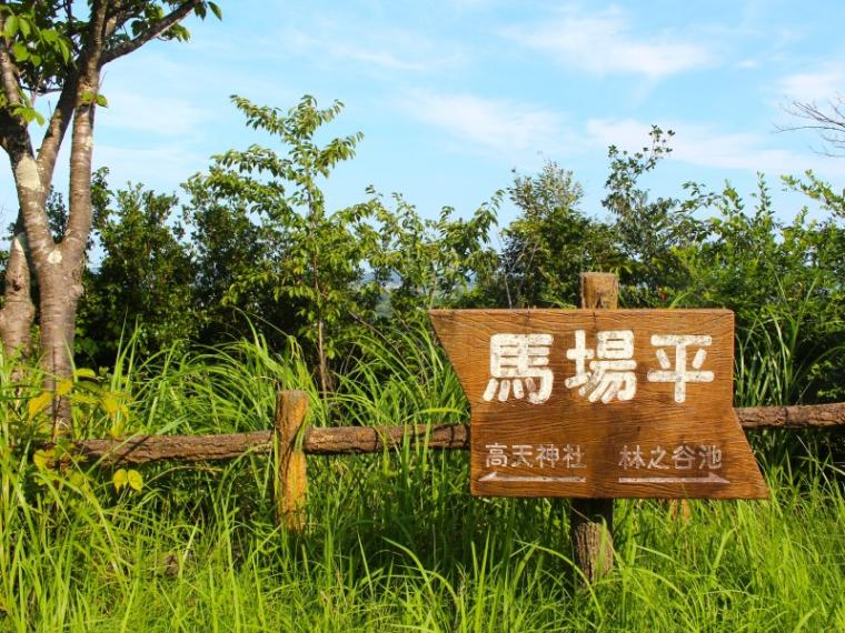 【掛川・高天神城跡】ガイドおすすめコースで“難攻不落の名城”を攻略！