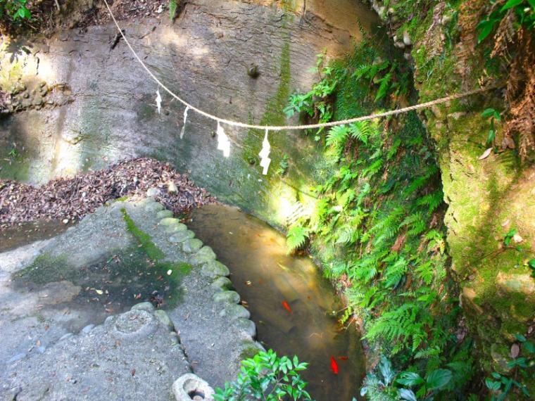 【掛川・高天神城跡】ガイドおすすめコースで“難攻不落の名城”を攻略！