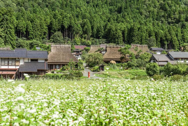 かやぶきの里