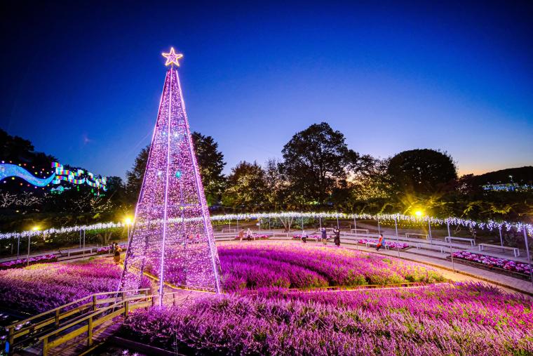 全国一位の「あしかがフラワーパーク」イルミネーション「光の花の庭」が開催中