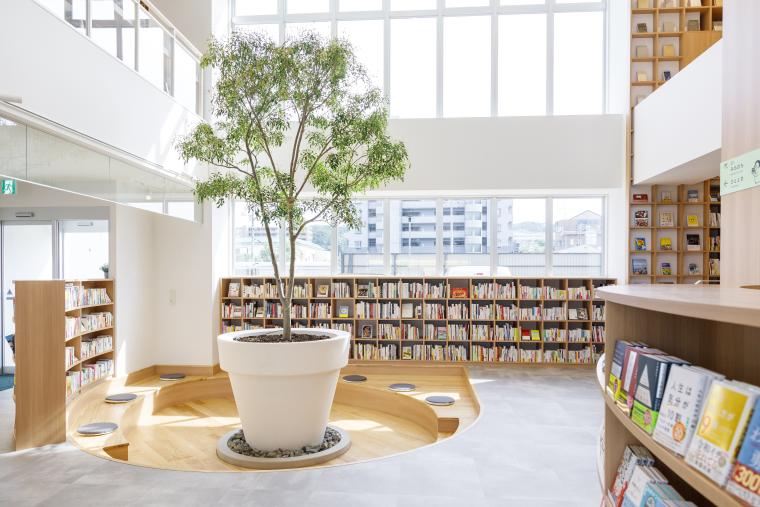 「ねをはすBook&Cafe」シマトネリコの木