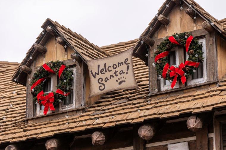 2024年 東京ディズニーランド　クリスマス