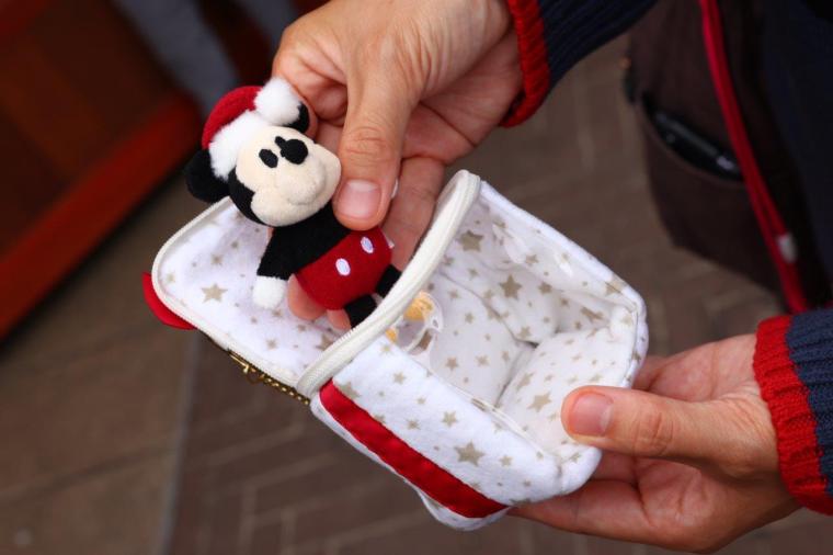 2024年 東京ディズニーシー　クリスマス