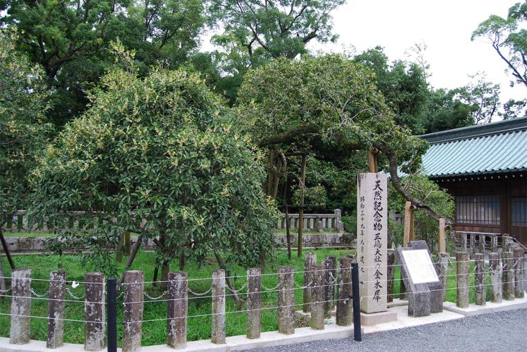 三嶋大社