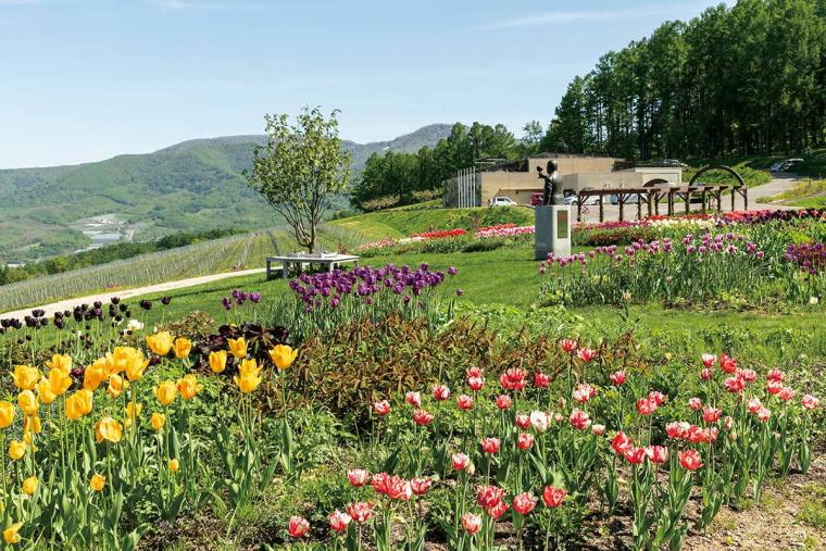 NIKI Hills Winery