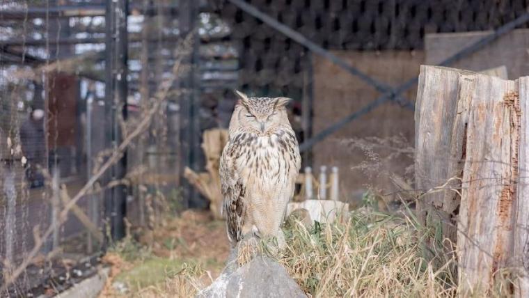 “日本最北”動物園の知る人ぞ知る「穴場スポット」で新しい発見を！子ども連れに絶対おすすめのルートも獣医師ママライターが伝授｜北海道・旭山動物園の楽しみ方／前編】