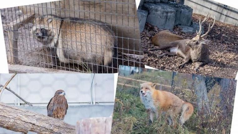 “日本最北”動物園の知る人ぞ知る「穴場スポット」で新しい発見を！子ども連れに絶対おすすめのルートも獣医師ママライターが伝授｜北海道・旭山動物園の楽しみ方／前編】