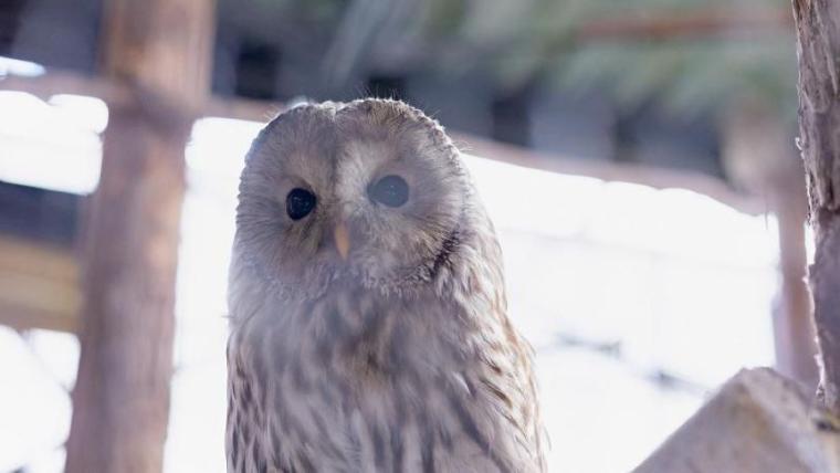 “日本最北”動物園の知る人ぞ知る「穴場スポット」で新しい発見を！子ども連れに絶対おすすめのルートも獣医師ママライターが伝授｜北海道・旭山動物園の楽しみ方／前編】