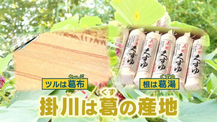 【静岡県掛川市】くず湯「丁葛」で有名な桂花園　“一口もなか”や一本焼きカステラもあった!