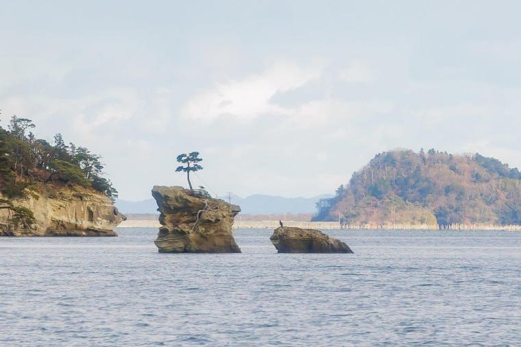 松島島巡り観光船