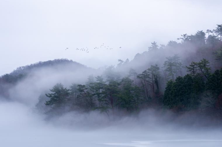 志高湖