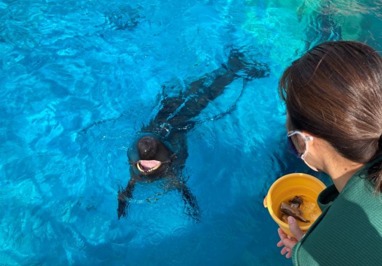 沖縄美ら海水族館