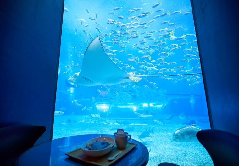 沖縄美ら海水族館