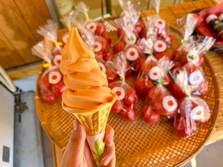 道の駅で発見！まるでフルーツなトマトソフトクリーム！町自慢のトマトジュースも味わえる｜鳥取県日南町