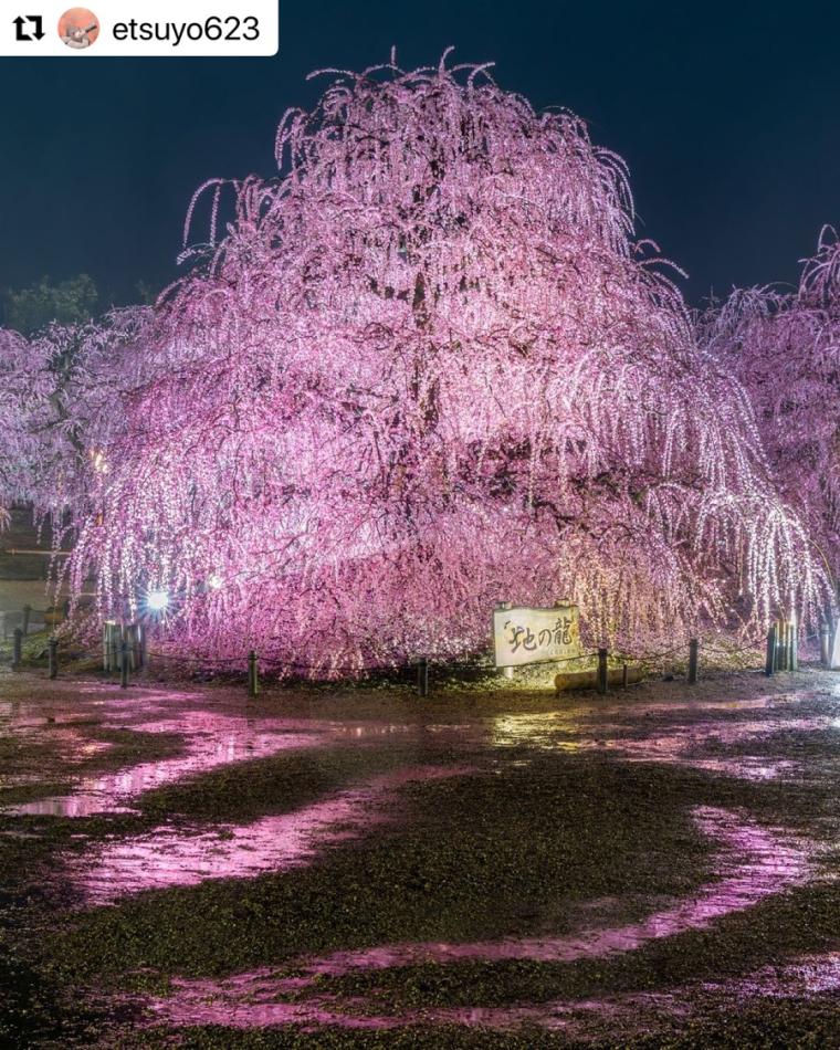「鈴鹿の森庭園」フォトコンテスト作品1