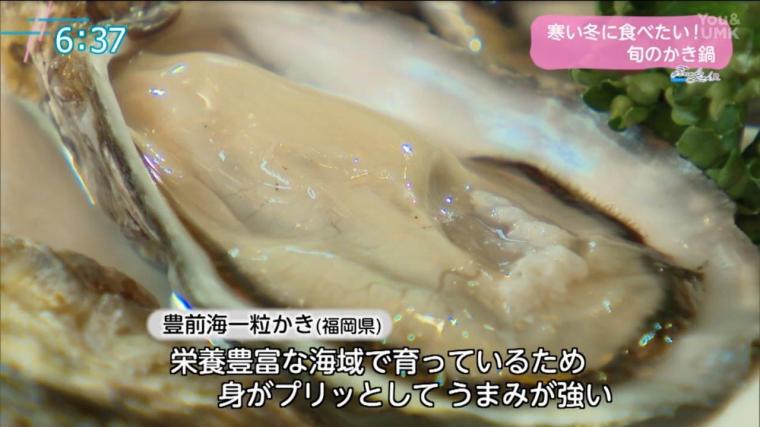 【宮崎】寒い冬に食べたい！旬の牡蠣を使った鍋料理をご紹介（2025年1月14日放送）
