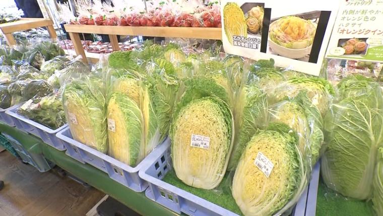 【道の駅 掛川】「うまい処」食事メニューの雑煮「おはたき餅」とは何者?!