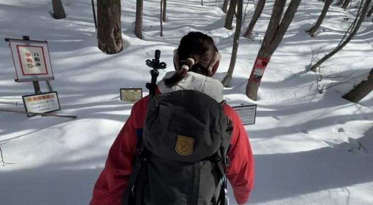 【札幌】アスレチック感満載！標高 500 メートル以下なのに大満足 「八剣山」登山レポ