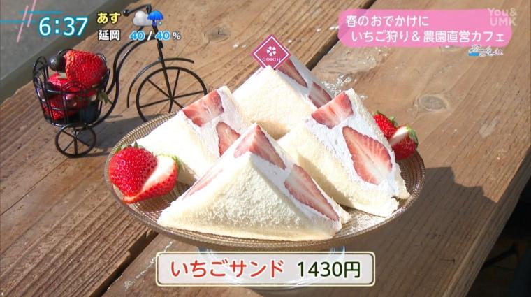【宮崎】春のお出かけにぴったり！食べ放題のいちご狩り＆直営カフェ（宮崎市郡司分）