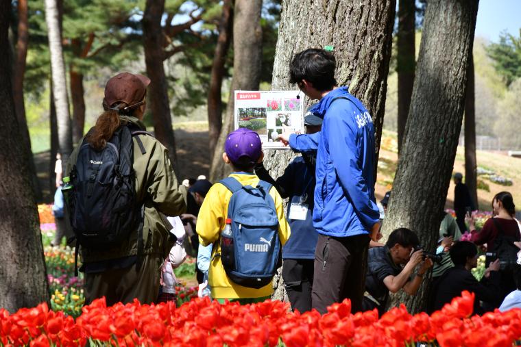 国営ひたち海浜公園「チューリップガイドツアー」