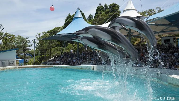 おかえり！イルカ・アシカの展示復活で完全再開「のとじま水族館」