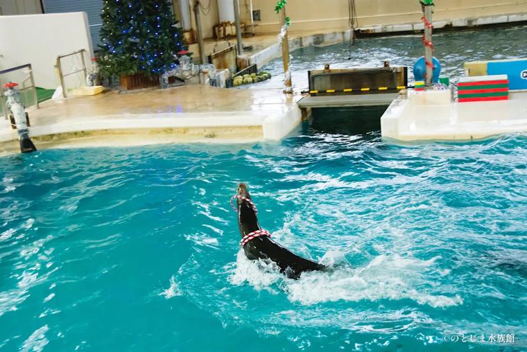 おかえり！イルカ・アシカの展示復活で完全再開「のとじま水族館」