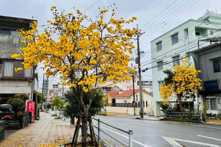 【沖縄】「こってり」or「あっさり」2種を選べて12時間かけて取ったダシが絶品！「おきなわそば ヨネハマ」（宜野湾市）