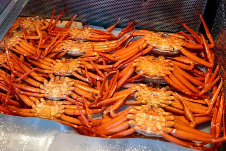 道の駅「マリンドリーム能生」