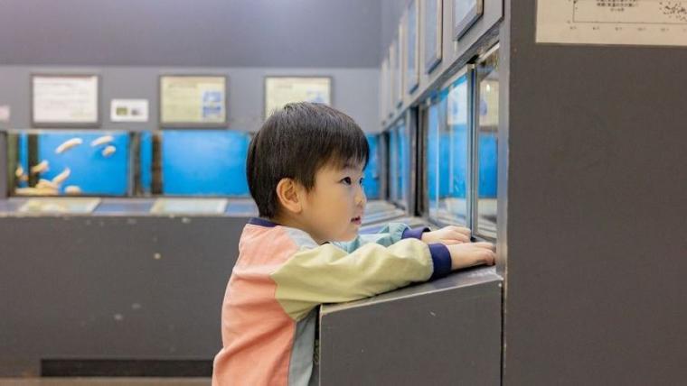 【無料】子連れおすすめポイント 3 選も！「地味？」なんてとんでもない！アクセス良好で自然も満喫の充実スポットを獣医師ママライターが解説｜北海道・札幌市「豊平川さけ科学館」