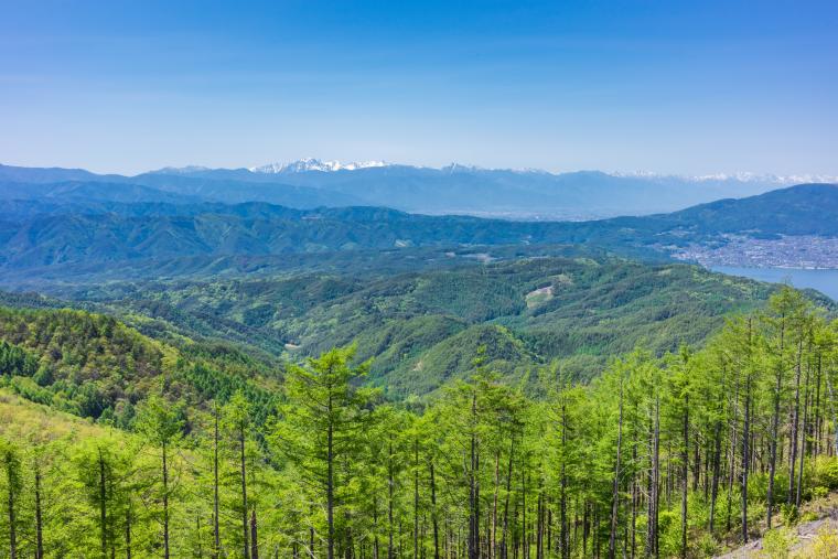 守屋山