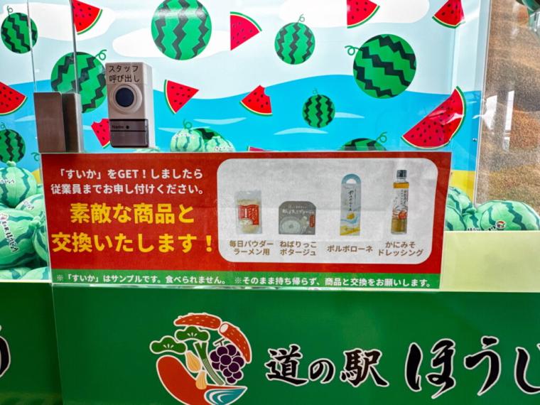 鳥取県北栄町に新オープン！グルメも土産も豊富な道の駅！てんこ盛り海鮮丼や伸び～るカレーパンも